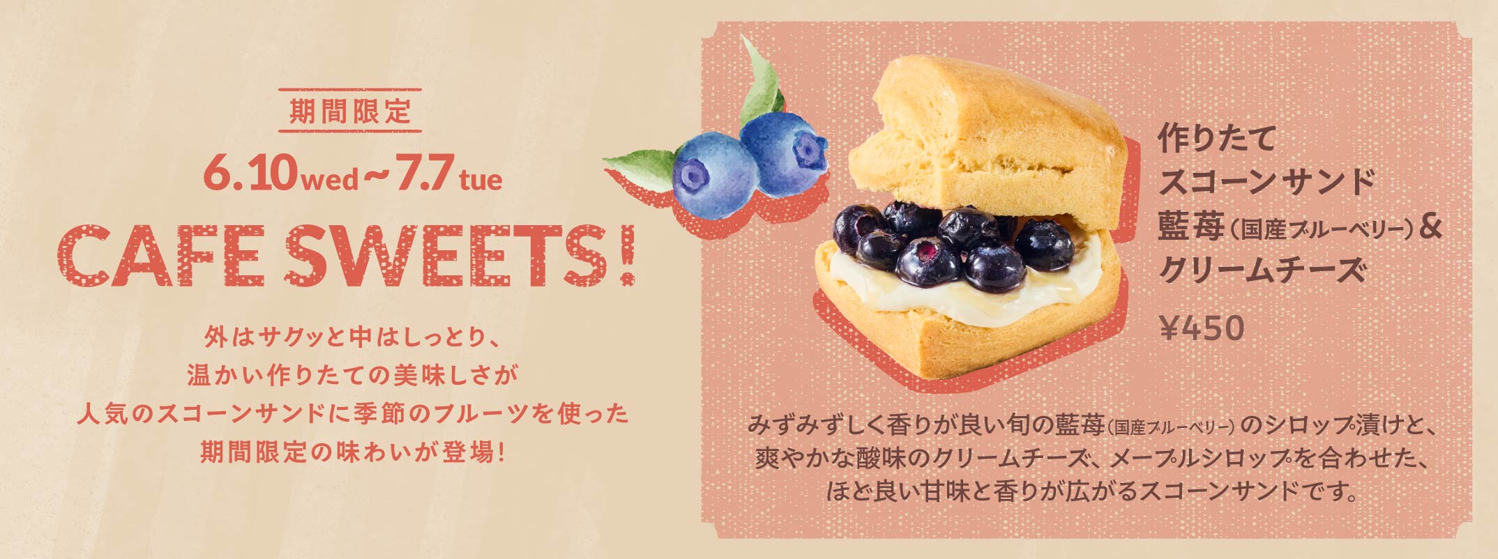 期間限定 作りたてスコーン藍苺（国産ブルーベリー）＆クリームチーズ 450円
